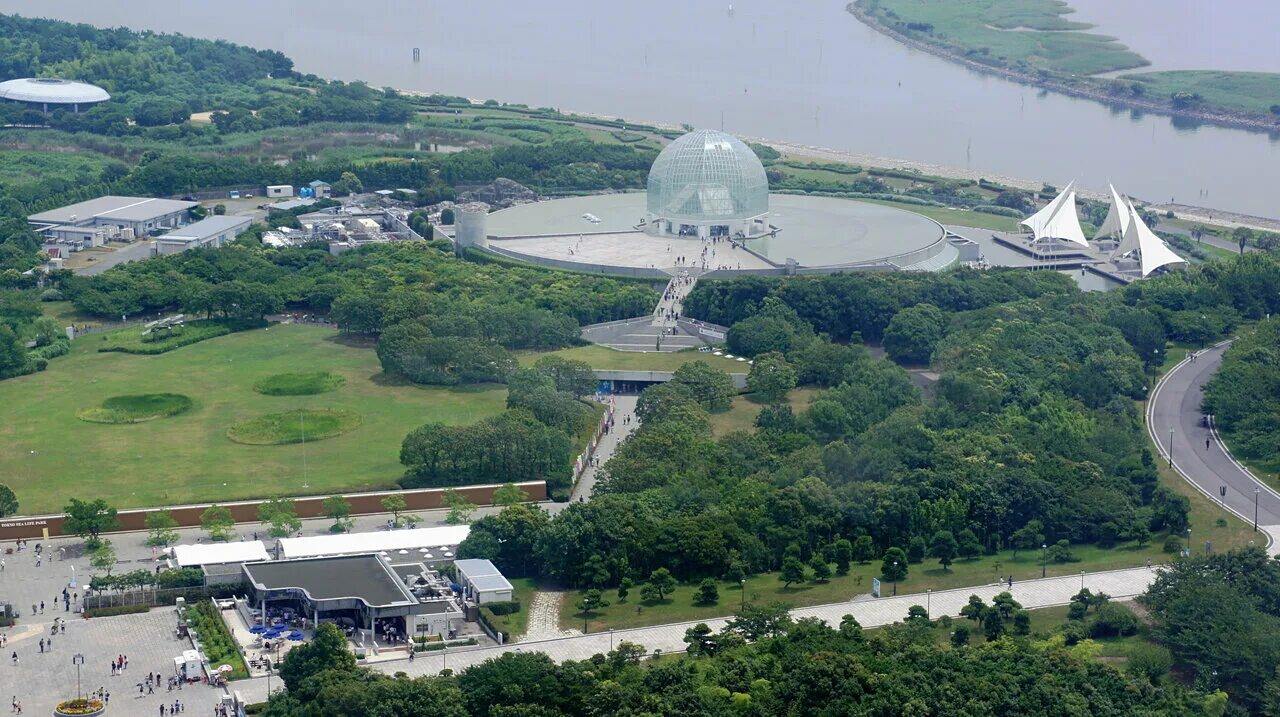 Токио Сеа лайф парк. Аквариум Sea Life Park Tokyo. Эдогава Токио. Япония район Эдогава.