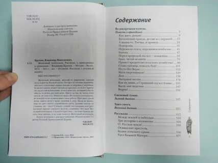 Босиком по небу крупин