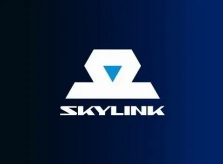 Скайлинк