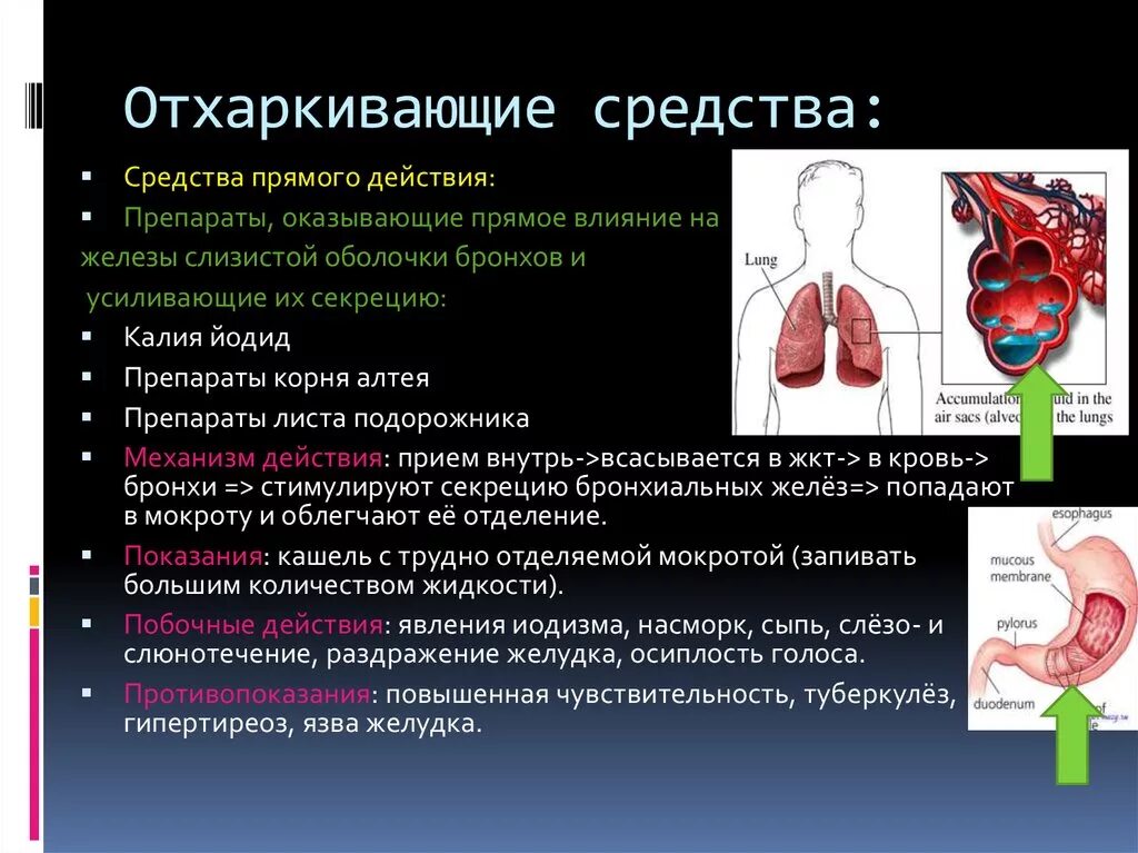 Механизм действия отхаркивающих. Отхаркивающие средства. Отхаркивающие средства механизм действия. Отхаркивающие препараты прямого действия механизм действия. Отхаркивающее средство рефлекторного действия