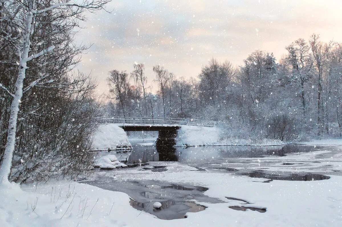 Метель весной. Февраль метель. снег и лужи. апрель метель и лужи. метель фото красивые.