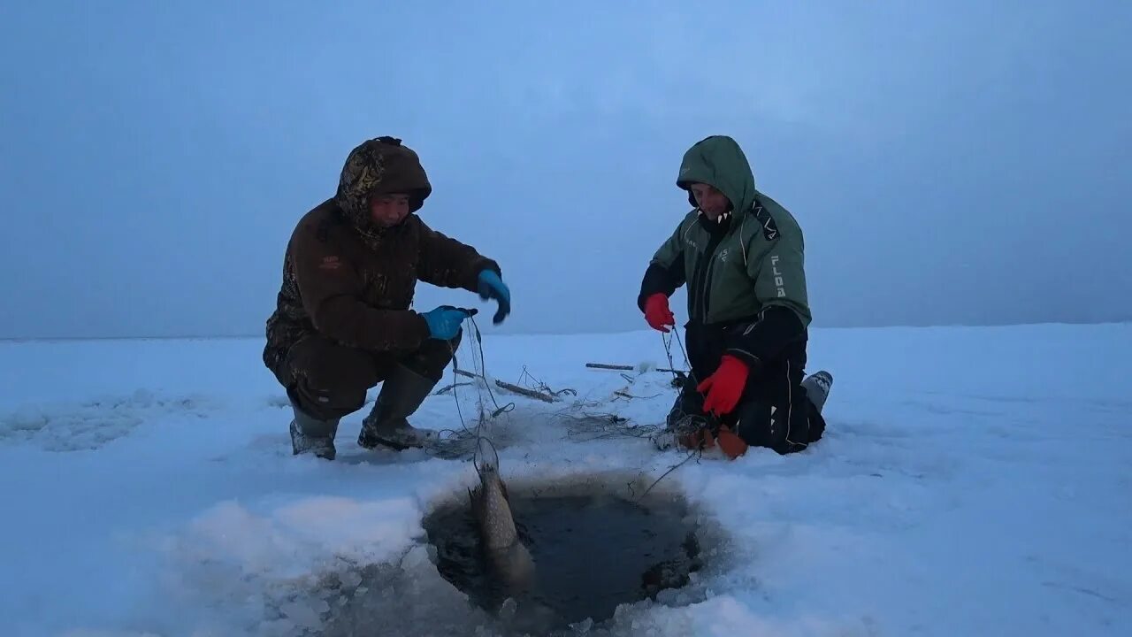 Клевая рыбалка hot fishing. Налим якутский. Охота и рыбалка в якутии последние видео 2019 новинки. Клёвая рыбалка якутия последнее. Зимняя рыбалка на щуку в якутии.