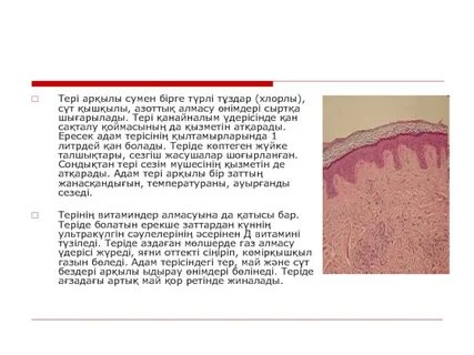 Жыныстық бейнелер мен суреттер