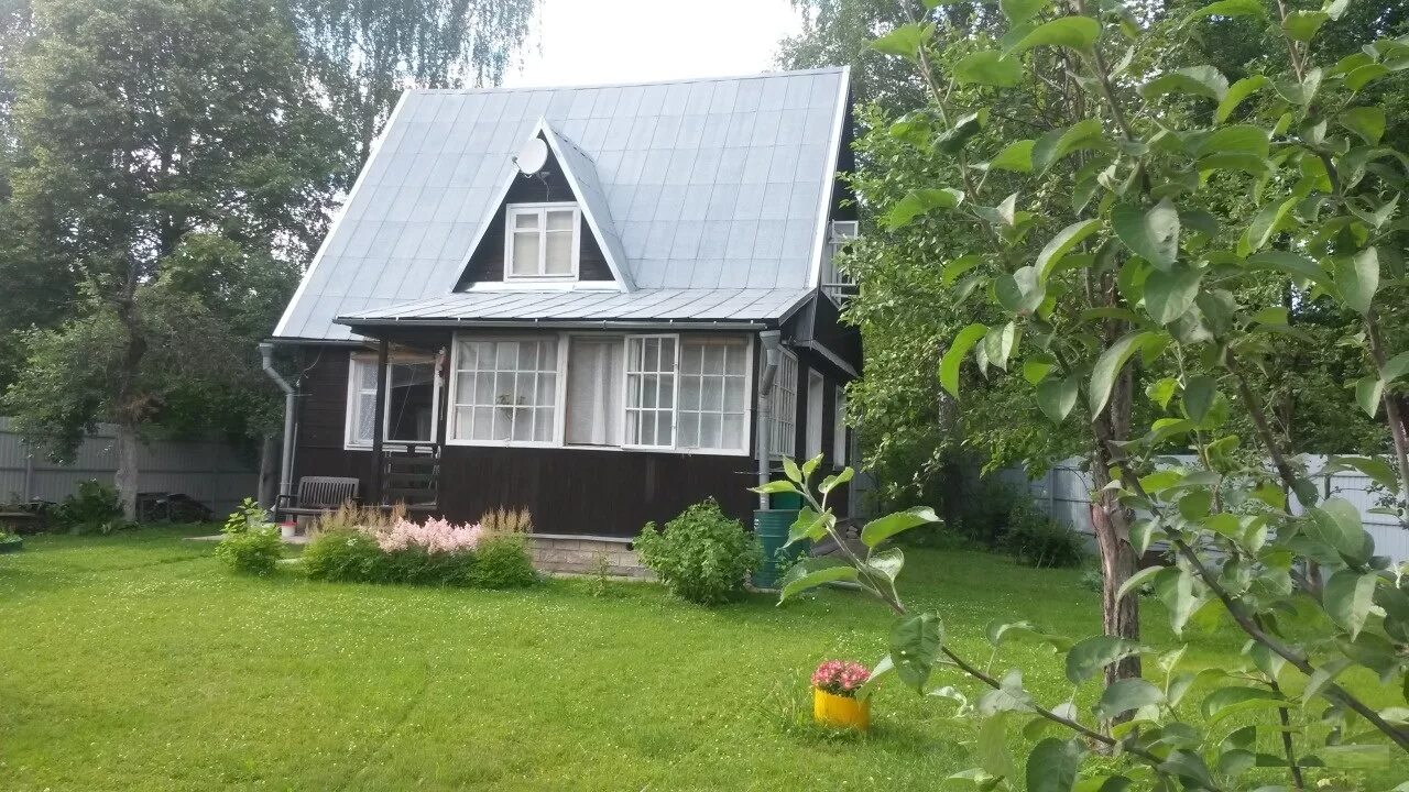 Циан черноголовка