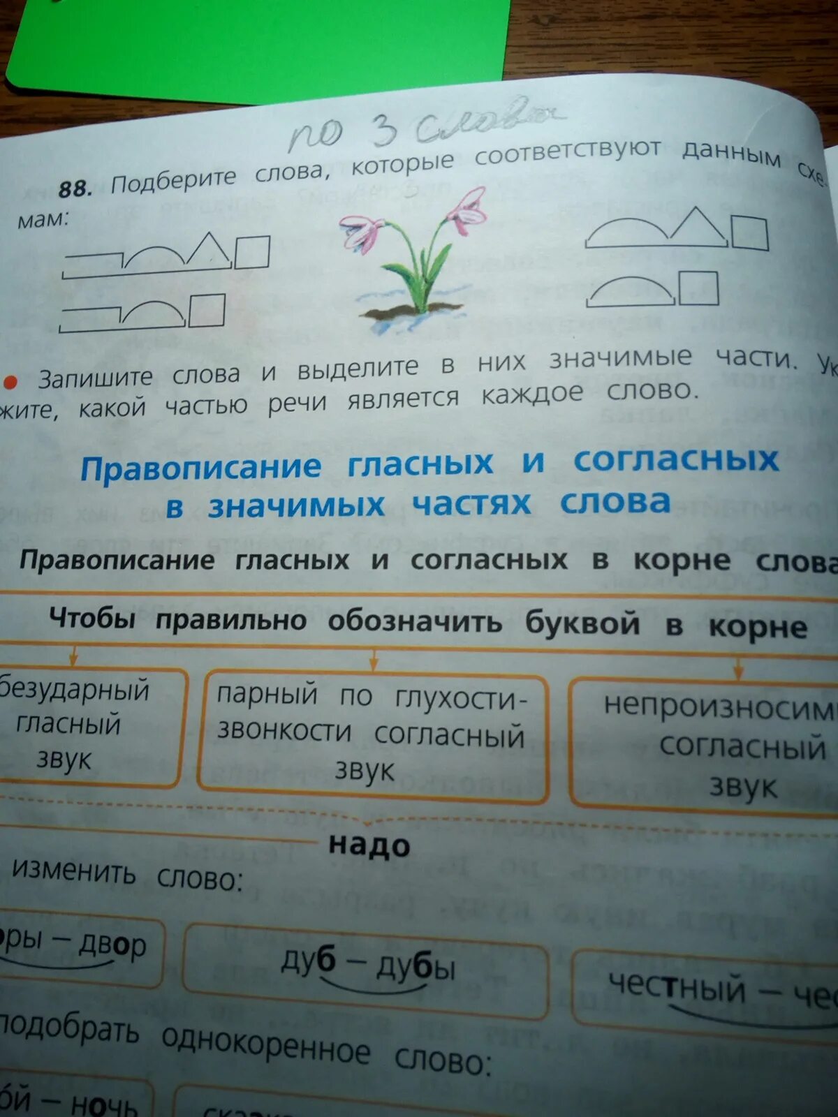 Подобрать слова соответствующие схемам. Подберите слова которые. подберите слова которые соответствуют данным. слова которые соответствуют схеме. подбери и запиши слова которые соответствуют схемам.