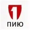 Проектно изыскательский институт