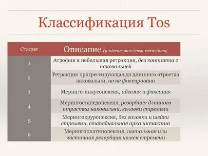 Стадия описание