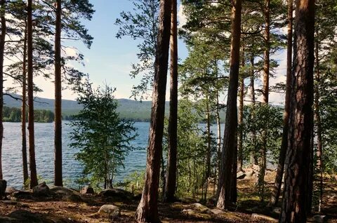Домики на берегу озера тургояк
