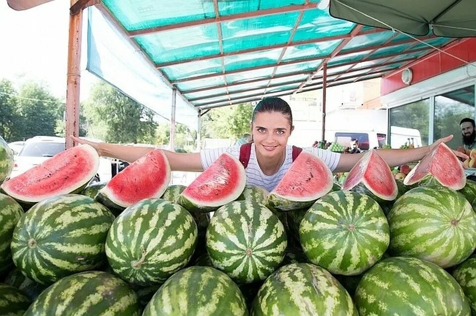 Найди дыню и арбуз. Интересные факты арбуз дыня. Найди дыню и арбуз. Арбуз опт. Херсонские арбузы.