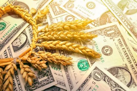 Продать зерно за границу