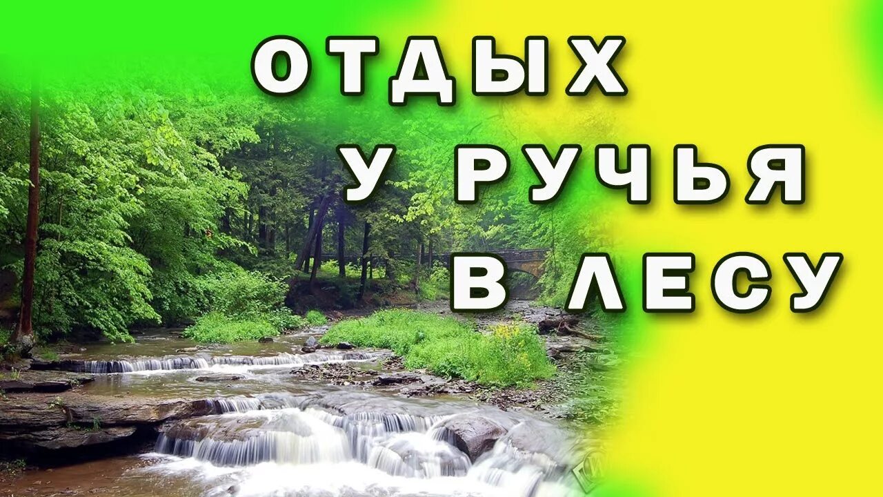 Журчание ручья и пение птиц. Звуки ручья в лесу. Шум воды и ручья. Пение птиц в лесу релакс. Музыка шум воды слушать