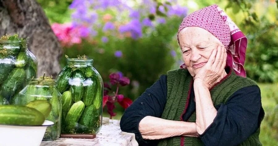 Бабка с огурцами. Бабушка закатывает огурцы. Огурцы на зиму мамины. Огурцы на даче. Огурцы луховицкие.