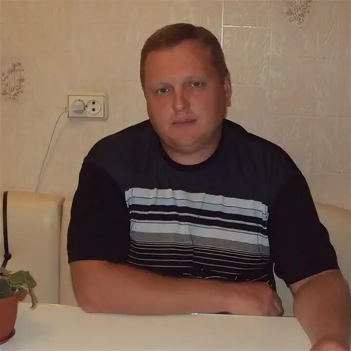 Чижик птица фото. Чижик. Чижик заринск. Чиж крымский. Чиж птица.