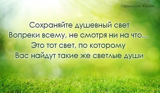 Жизнь продолжается ни на что. Несмотря ни на что цитаты. жить несмотря ни на что цитаты. ни смотря ни на что цитаты. жизнь несмотря ни на что.