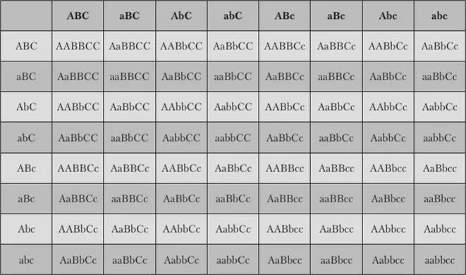Решетка Пеннета AABBCC AABBCC. Решетка Пеннета для тригибридного скрещивания. Решётка Пеннета для тригибридного. Таблица тригибридного скрещивания.