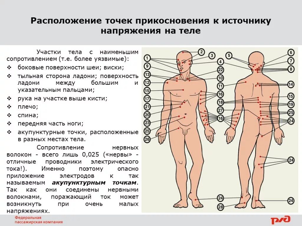 Расположение точек прикосновения к источнику напряжения на теле. Участки тела. Схема сопротивления тела человека. Расположение уязвимых точек человека.