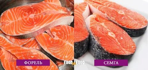 Какая лучше форель или семга