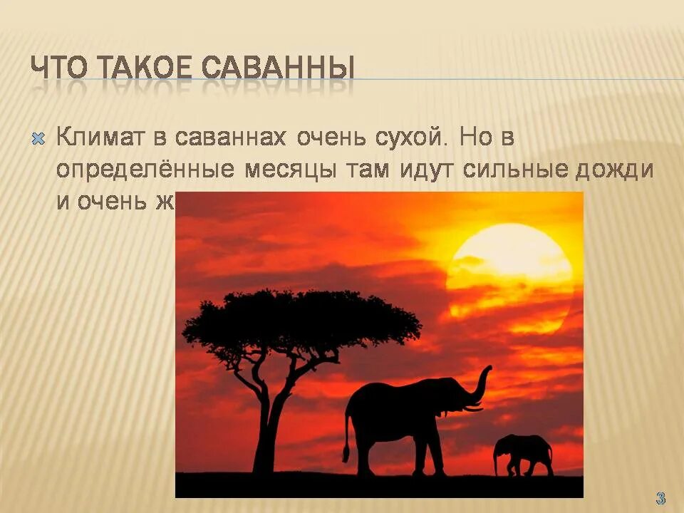 Информация о 2 3 животных саванны. Саванны презентация. саванна доклад. звери саванны. рассказ про саванну.