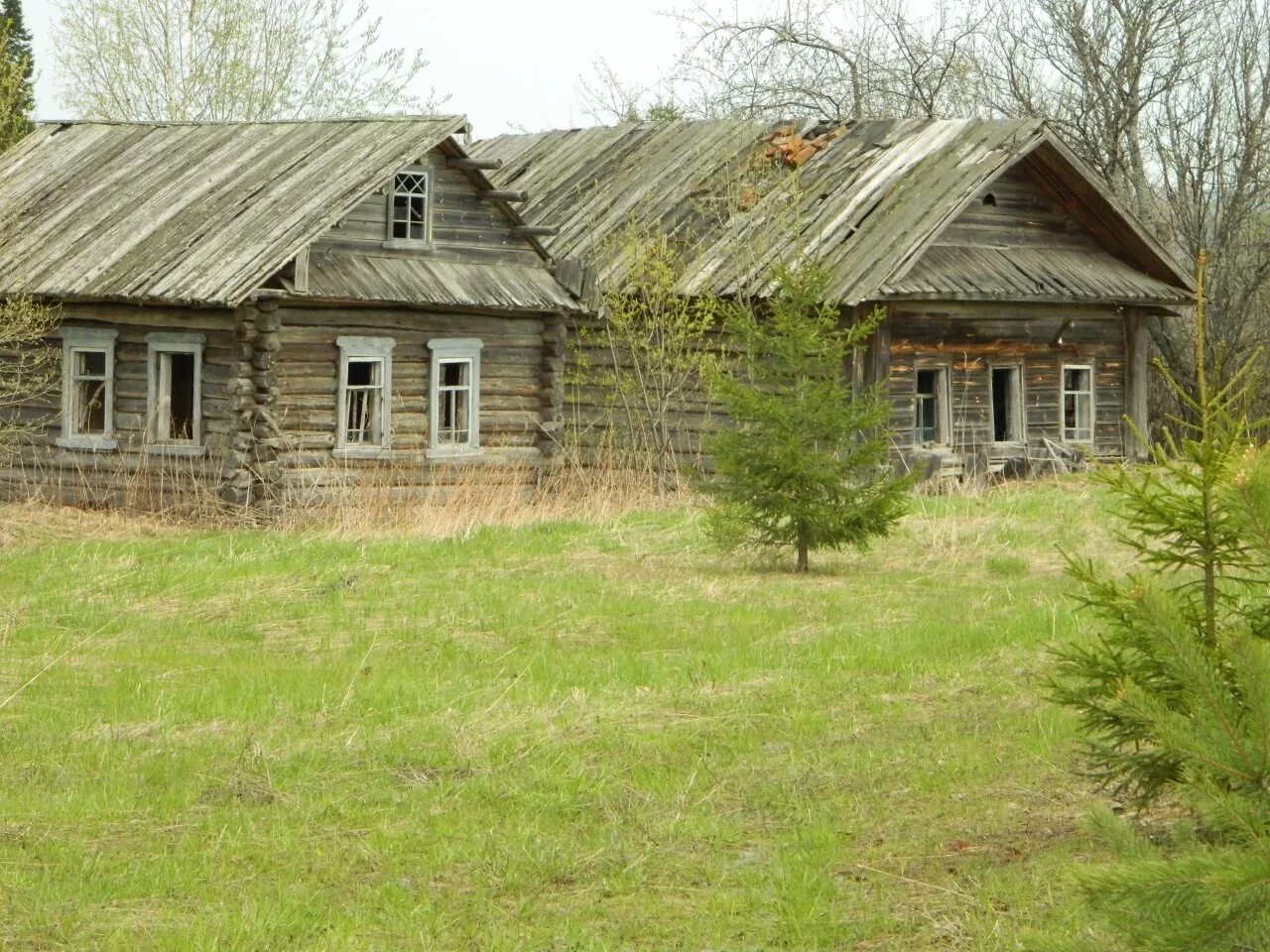 Сельсовет деревня. Деревня Чучаловы Кировской области. Заброшеные деревни Кировской области. Деревня Сивковы Котельничского района Кировской области. Кировская область Даровской район деревни.