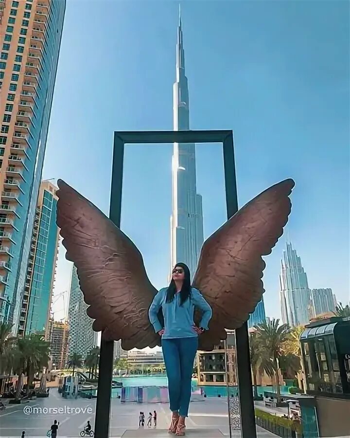 Крылья мексики