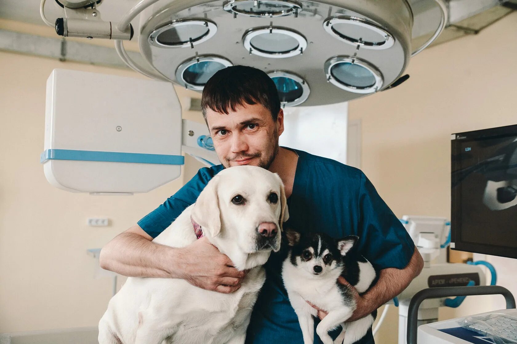 Ветеринарная пирогово