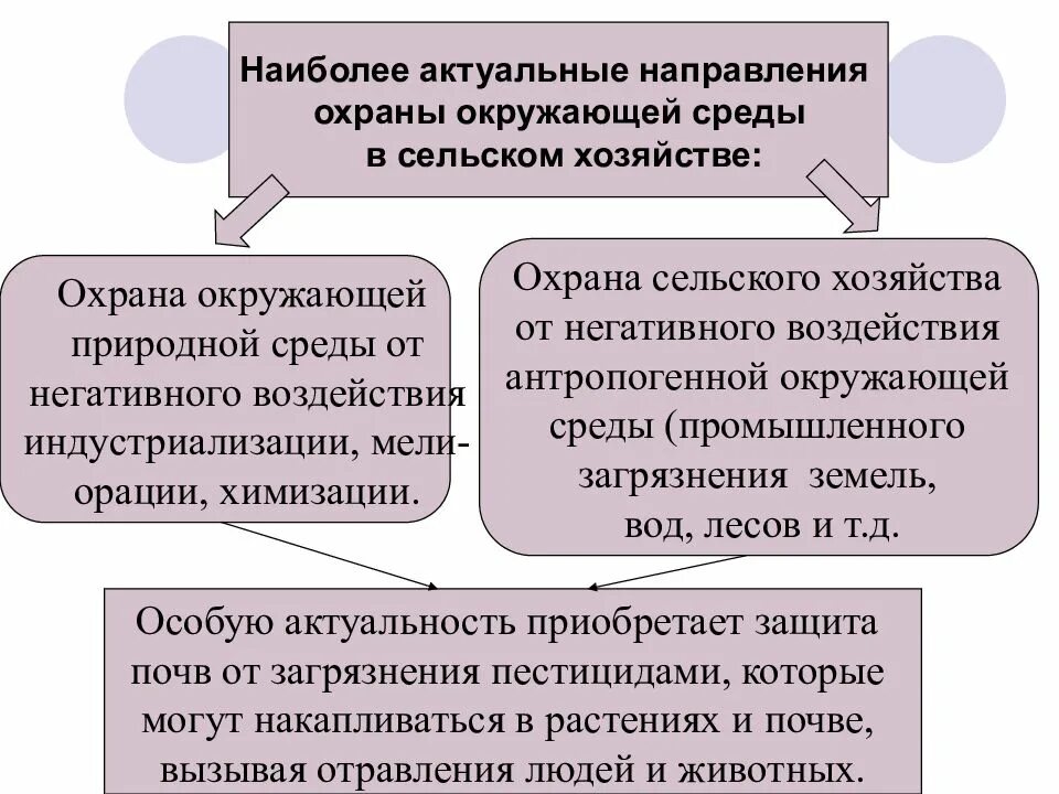 Направление охраны природы. Направления охраны окружающей среды. Правовая охрана окружающей среды. Охрана окружающей среды в сельском хозяйстве. Правовая охрана окружающей среды в сельском хозяйстве кратко.