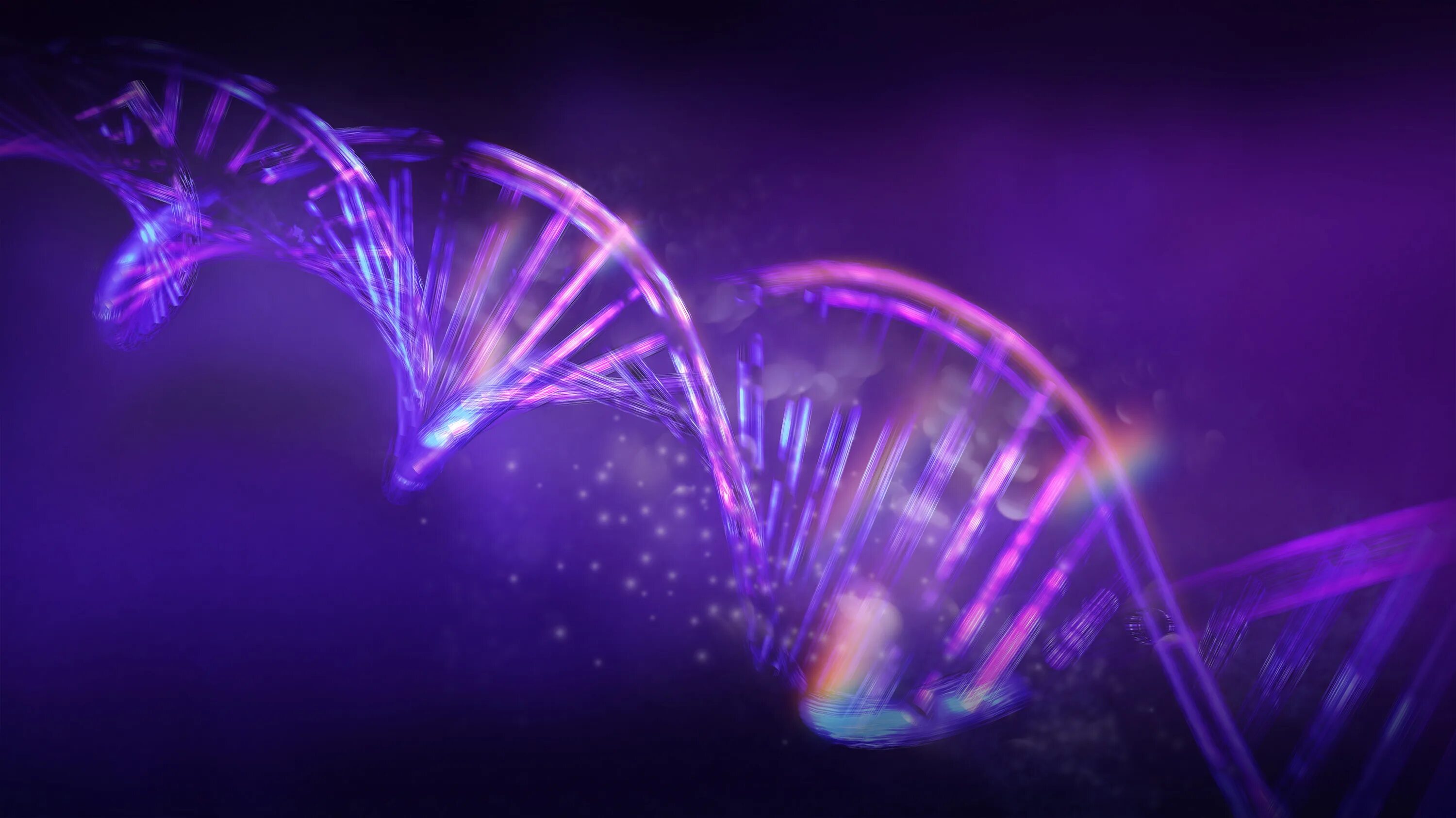 Крупным планом анимация. Светящаяся нить на тёмном фоне. Линии ДНК абстракция. Золотые светящиеся нити в воздухе. Фиолетовые ДНК на темном фоне вертикально по середине.