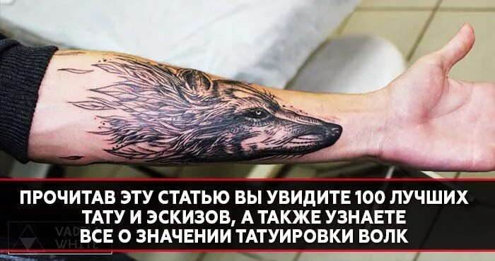 Волк значение гуща. Татуировка волк. тату волк с надписью. тату волка на руке. тату одинокий волк.