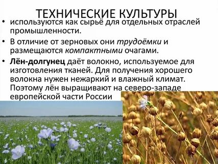 Что относится к техническим характеристикам