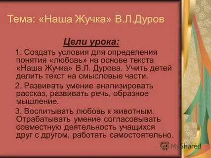 План жучки