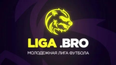 Лига бро джуниор 2024