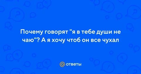 Души не чает