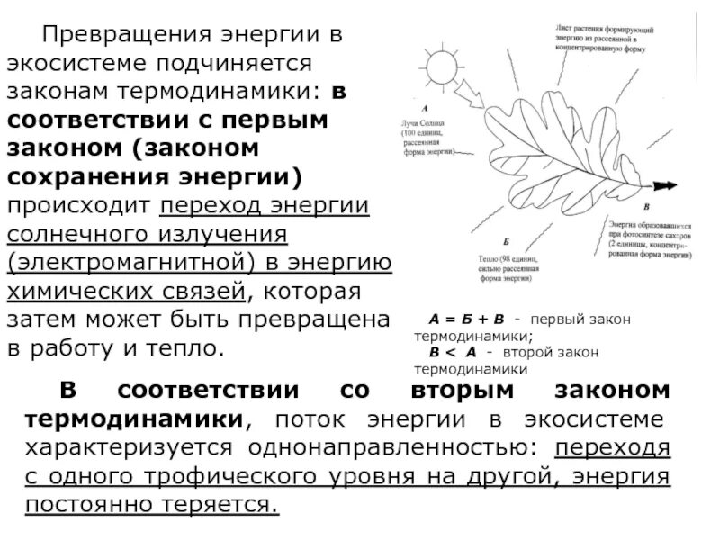 Какое преобразование энергии осуществляется в солнечных. Превращение энергии в экосистемах. Трансформация энергии в экосистеме. Законы превращения энергии в экосистемах. Прекращение энергии в экосистеме.