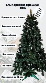 Характеристика елки
