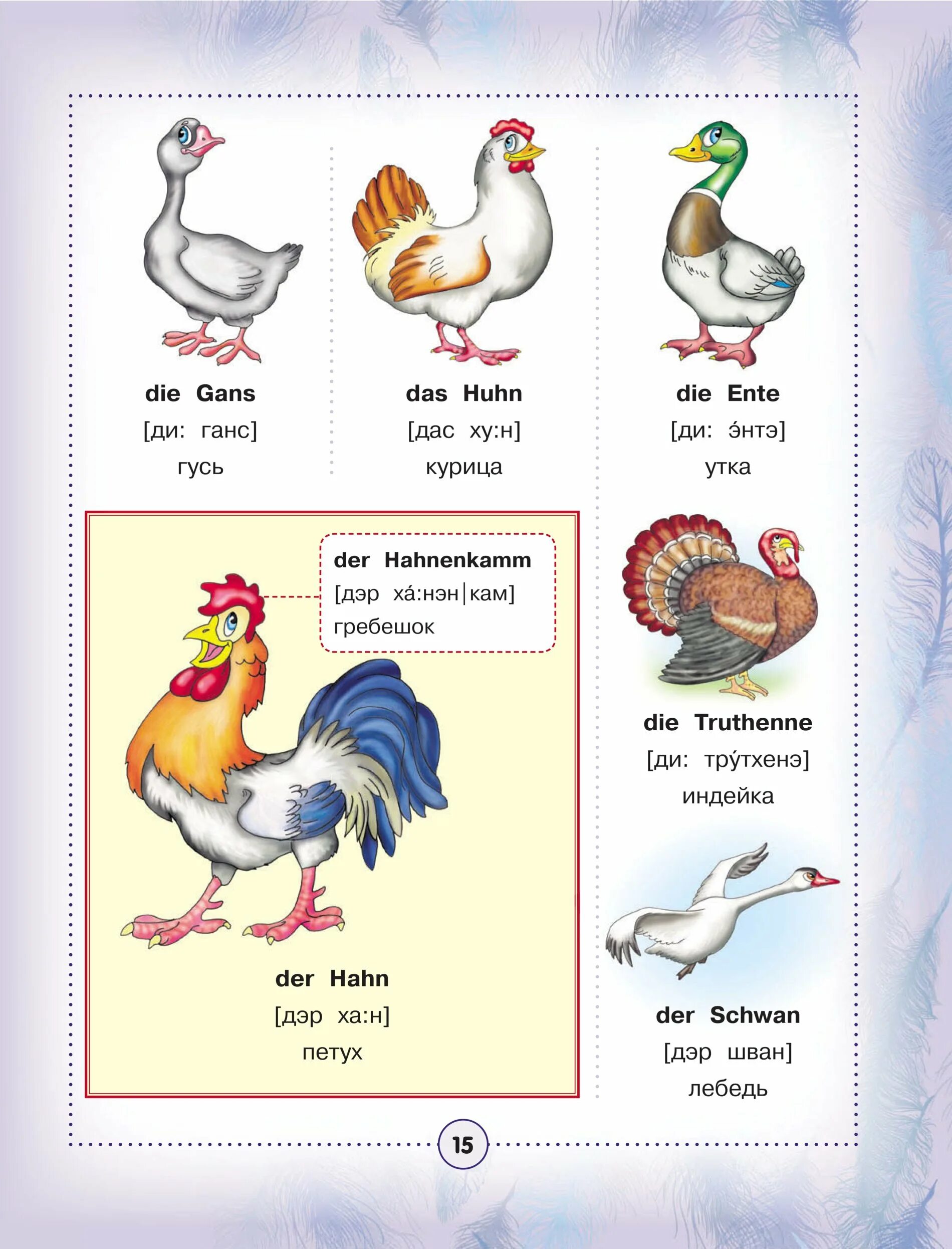 Курица по английскому языку. Курица карточка по английскому. Курица по английски с транскрипцией. Домашние птицы англ с транскрипцией.