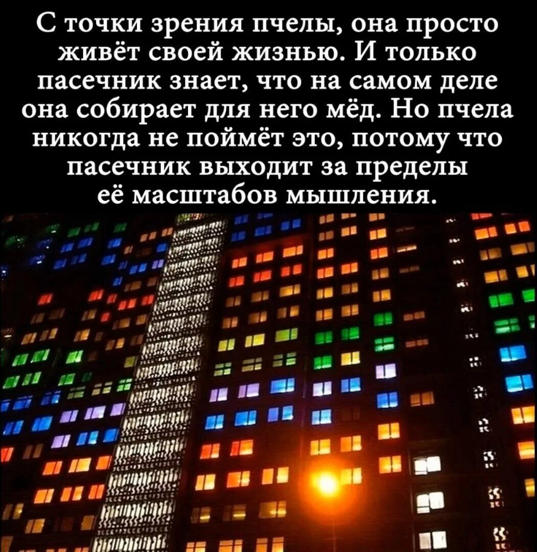 С точки зрения пользователя. С точки зрения пчелы. С точки зрения пчелы она просто живет своей. Пчела думает что живет своей жизнью. С точки зрения пчелы она просто живет своей жизнью и только.