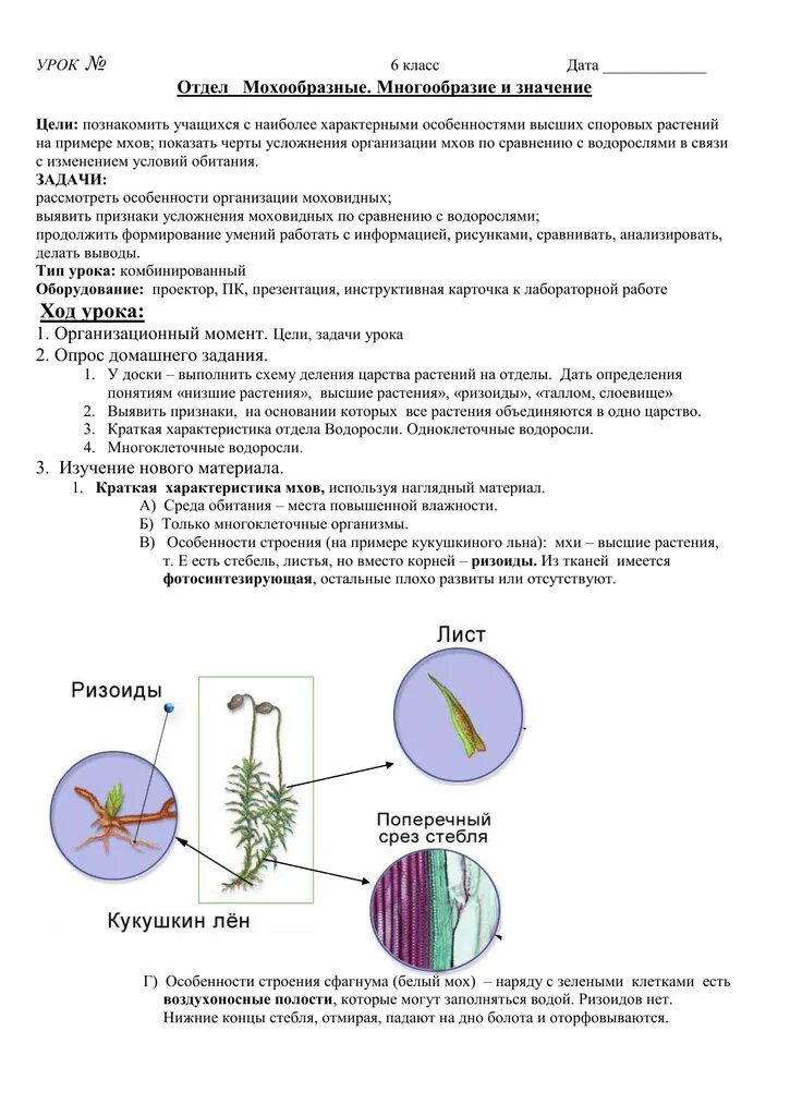 Геметофит кукушкин лён. Мхи сфагнум и кукушкин лен строение. Изучение строения мха лабораторная работа. Изучение строения мха лабораторная работа. Изучение строения мха лабораторная работа.