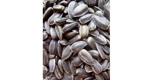 Семечки подсолнуха для птиц в мешках. Семечка кормовая. Семечки подсолнуха черные. Семена подсолнечника для птиц. Мешок семечек.