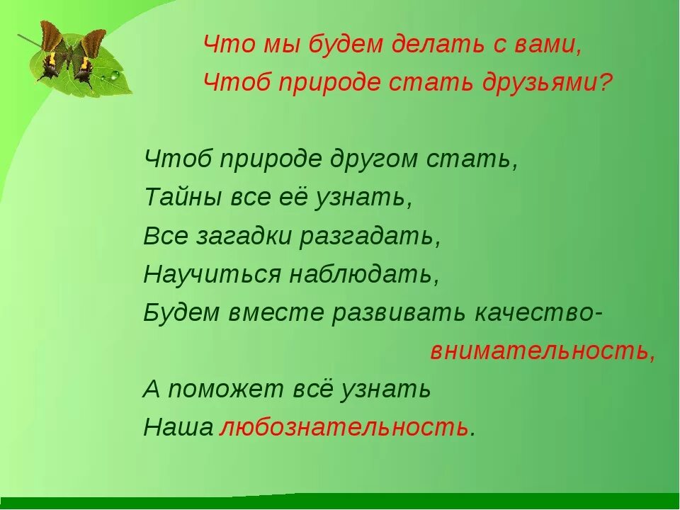 Стихотворение живая природа. Стишки про природу для детей. Стихи о природе для детей. Стихи об окружающем мире. Стих про окружающий мир.