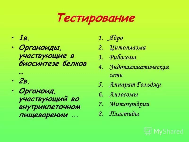 Обеспечивает синтез органических веществ клетки. Органоиды клетки которые участвуют в биосинтезе белка. Органоиды клетки которые участвуют в биосинтезе белка. Органоиды рибосомы строение и функции. В каких органоидах клетки происходит синтез белка.
