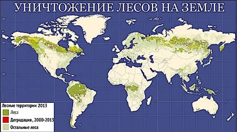 Уничтожьте карта