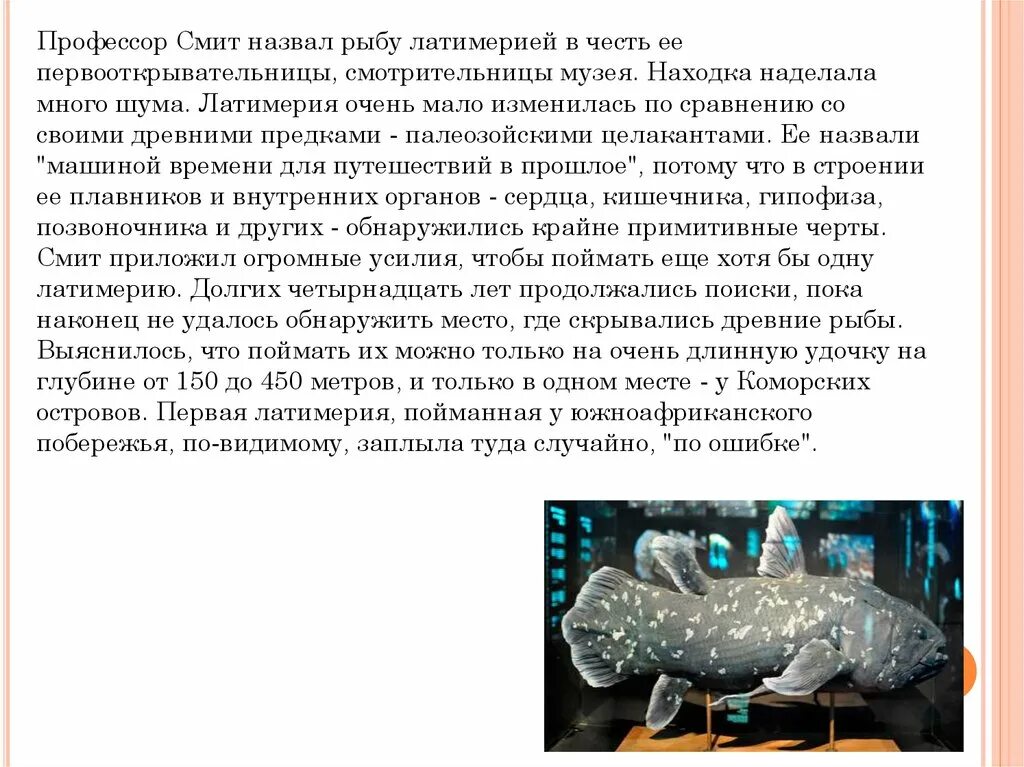 Какая биология изучает рыб. Латимерия сходство с рыбами. Латимерия и древнепалеозойская рыба сравнение. Презентация по теме живые ископаемые. Внутреннее строение латимерии.