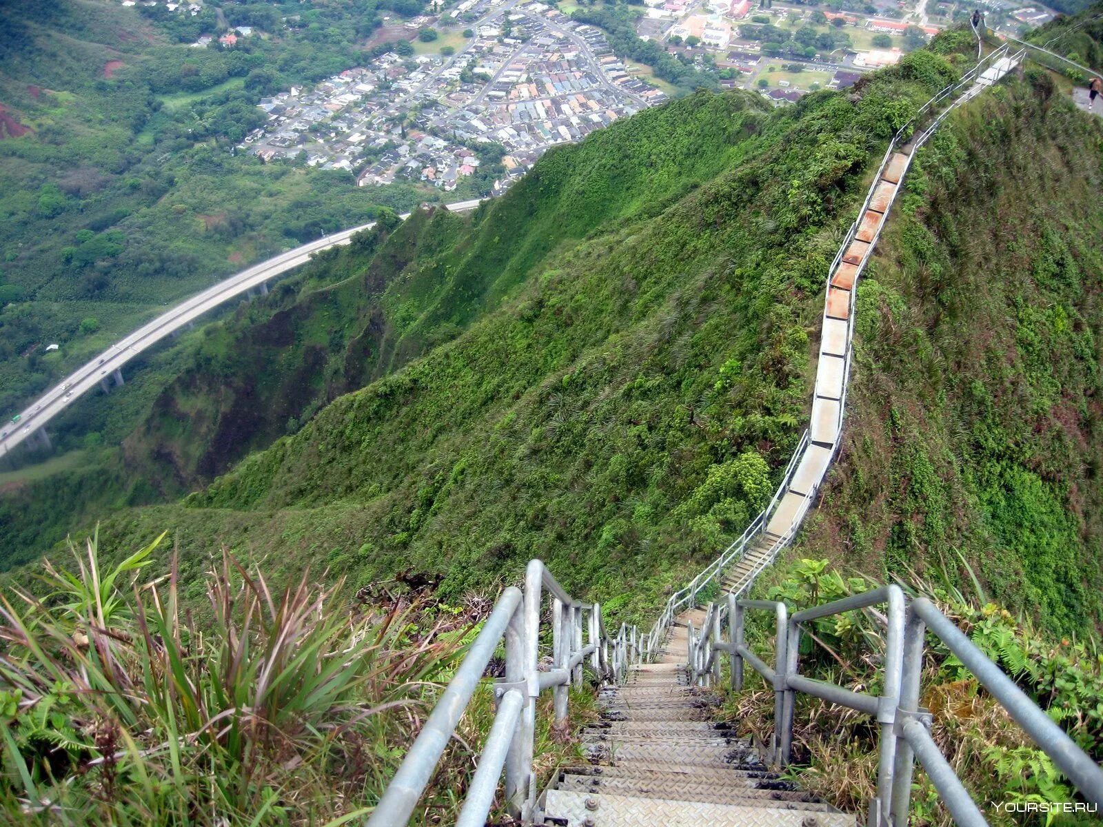 Путь снизу. Лестница хайку, Оаху, Гавайи. Лестница хайку на острове Оаху Гавайи. Гора Низен в Швейцарии лестница. Лестница на Оаху.