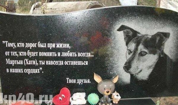 Собака ушла из жизни