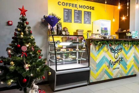 Coffee moose отзывы