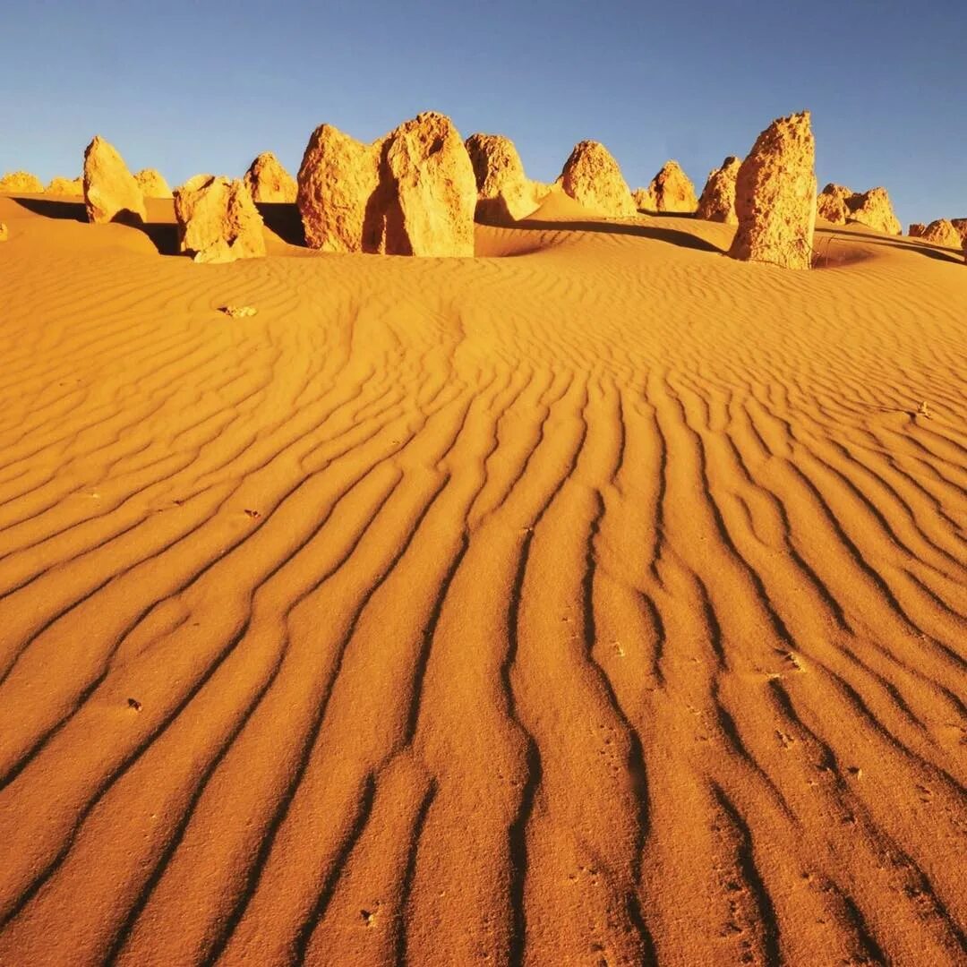 Засушливые области австралии. Большая Песчаная пустыня в Австралии.
