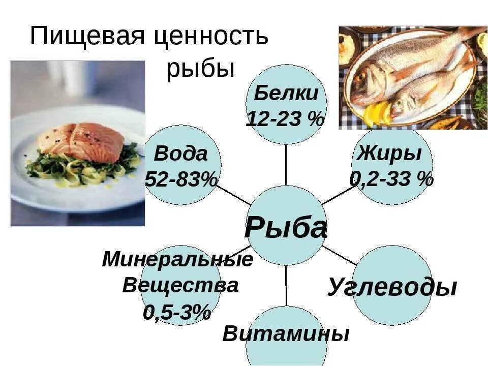 Химический состав и пищевая ценность рыбы. Хим состав рыбы и пищевая ценность рыбы. Пищ ценность рыбы. Пищевая ценность рыбы схема. Значение рыбы в питании