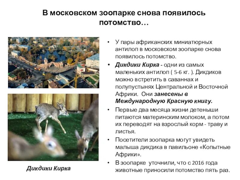 Зоопарк сообщение 2 класс. Московский зоопарк информация для доклада. московский зоопарк рассказ. московский зоопарк текст. московский зоопарк презентация.