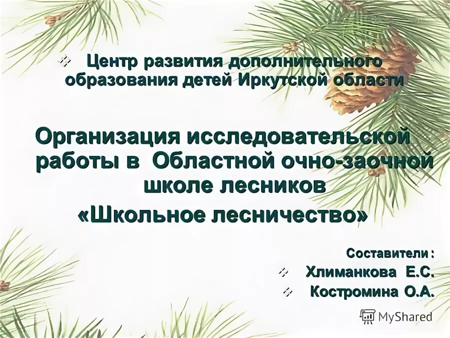 национальный проект образование в иркутской области. министерство образования иркутской области. национальные проекты иркутской области. центр образования иркутск. центр дополнительного развития детей иркутск.