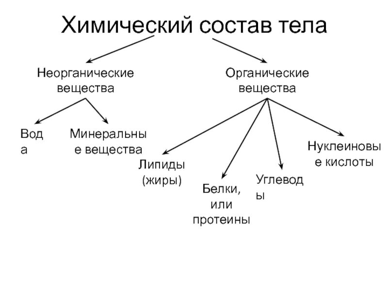 Что такое органические и неорганические вещества. Химический состав организма человека. Неорганические химические вещества. Химический состав тела. Схема химического состава организма.